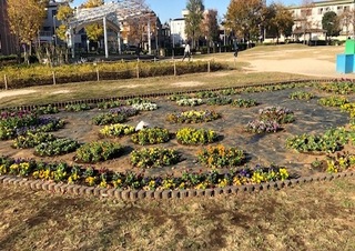 曳舟川親水公園の花壇の写真