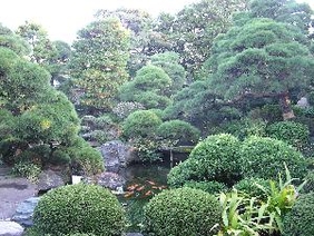 山本亭の日本庭園の写真