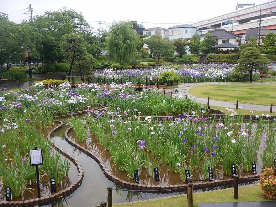 さんまいめ