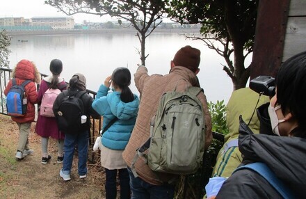 　自然観察の様子