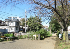 調査地（曳舟川親水公園）の写真