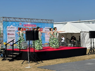 過去大会の応援隊の様子