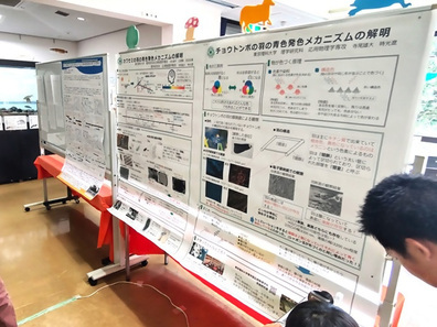 ポスター展示