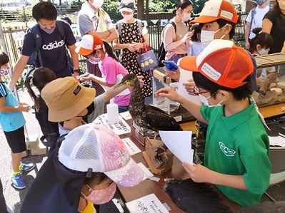 わくわく生きもの園