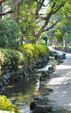 小松川境川親水公園