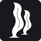 海藻のイラスト