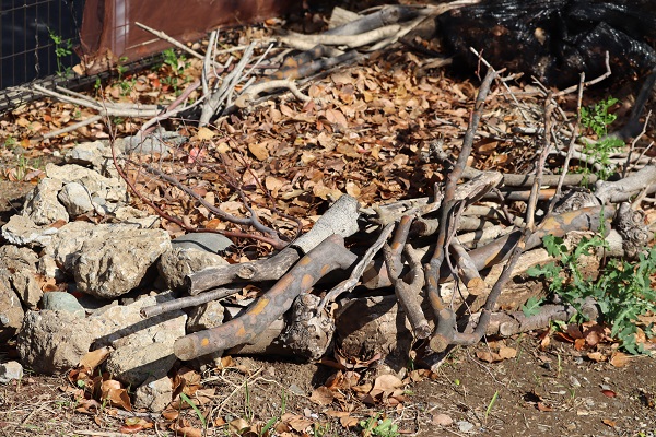 エコスタックの写真