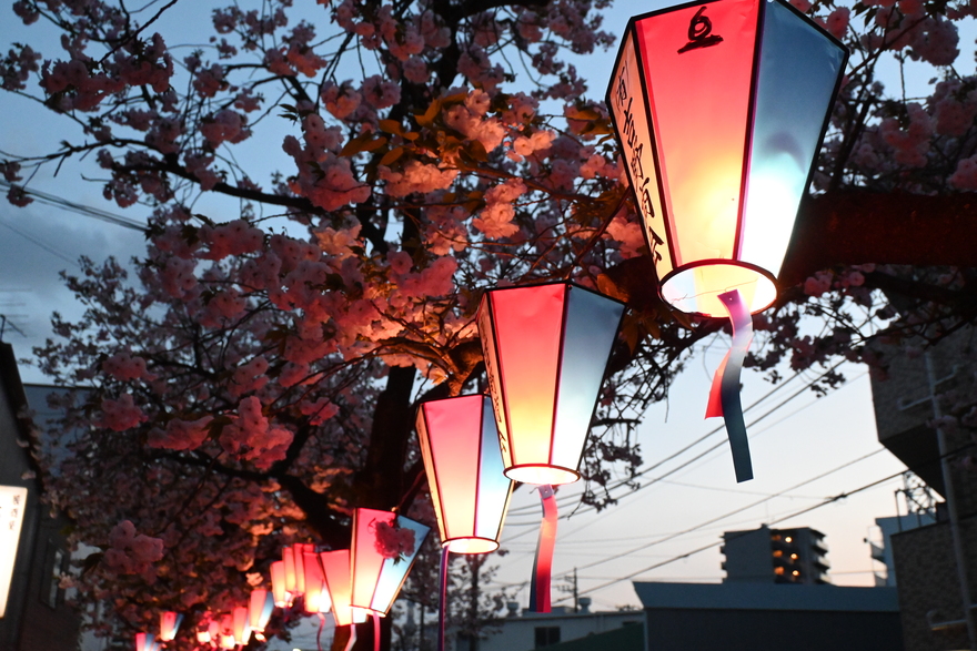 かわばたコミュニティ通りのライトアップ