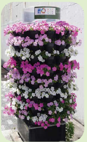 フラワーメリーゴーランドの写真