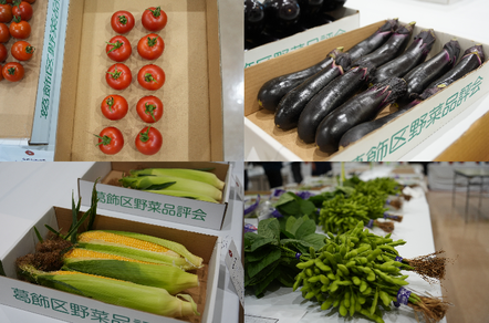 夏野菜品評会の写真
