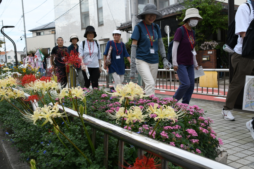 シニアが案内するまち歩きツアー