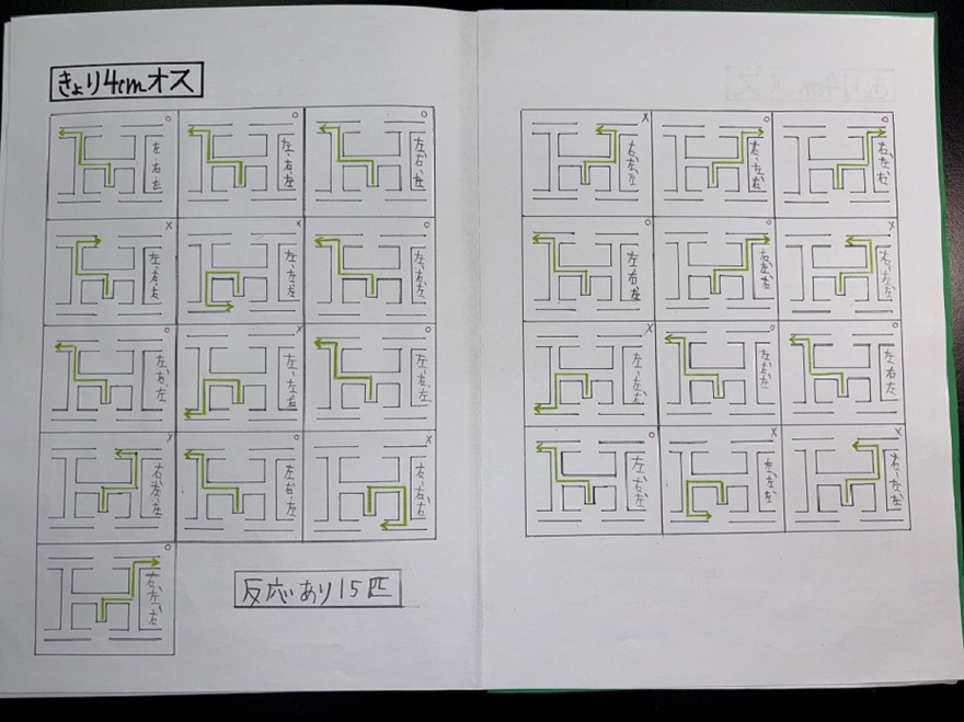 小学校の部　入賞