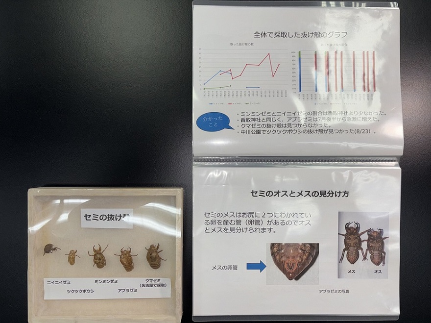 小学校の部　入賞