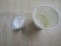 スライムの写真