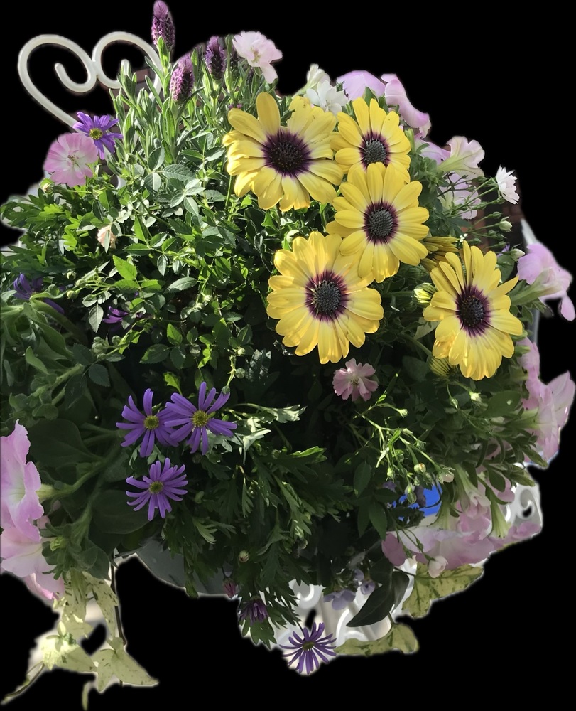 ハンギングバスケット