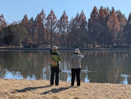 カワセミの個体数調査