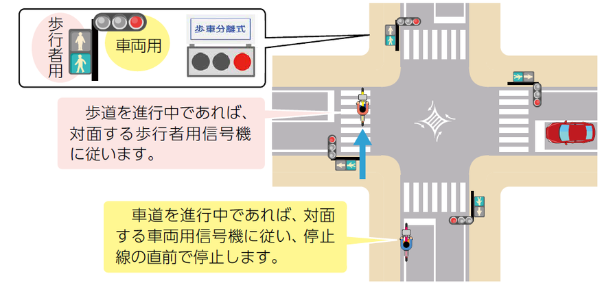 歩車分離式信号