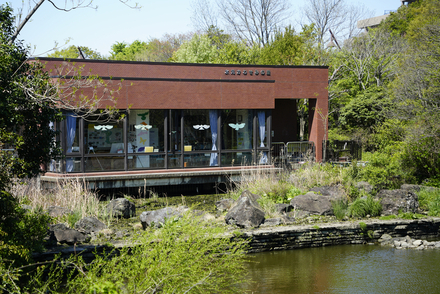 水元かわせみの里
