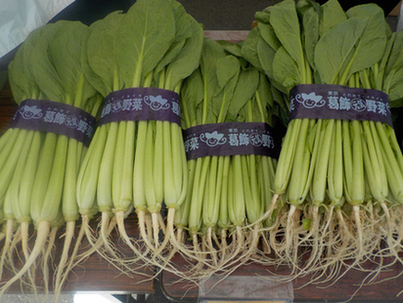 葛飾元気野菜2