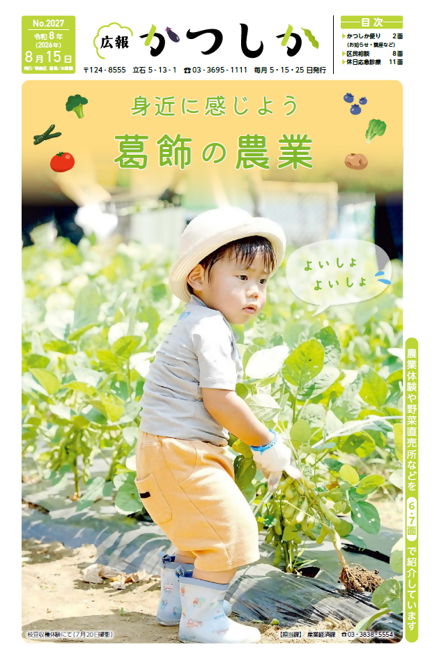 一面の画像