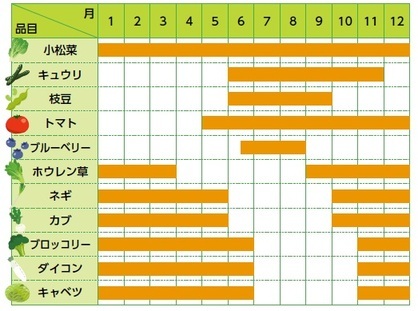 主な野菜の販売時期