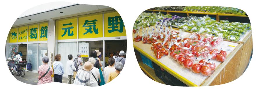 葛飾元気野菜直売所
