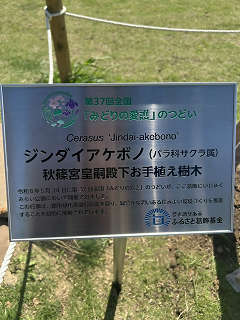 秋篠宮皇嗣殿下