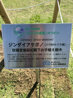 秋篠宮皇嗣妃殿下
